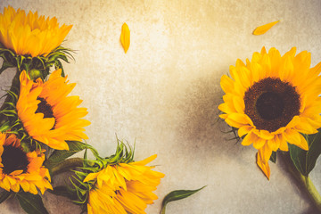 Yellow Sunflower Bouquet on Grey Background, Autumn Concept