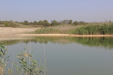 the surface of the lake