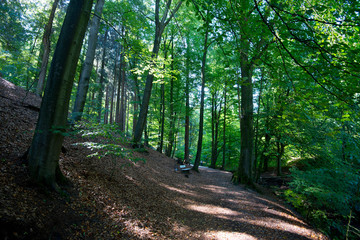 Teutoburger Wald in Ostwestfalen