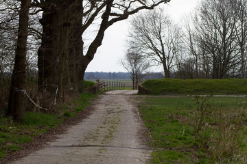 Fototapeta na wymiar ein fußgänger weg mitten durch die natur fotografiert während eines spaziergangs in der natur norddeutschlands mit weitwinkelobjektiv