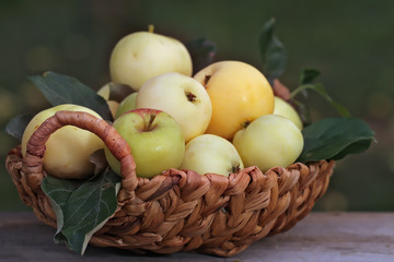 Ripe  apples in wicker basket closeup