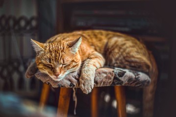 sleep baby sleep