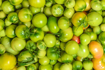 Tomatoes texture. Unripe green tomatoes