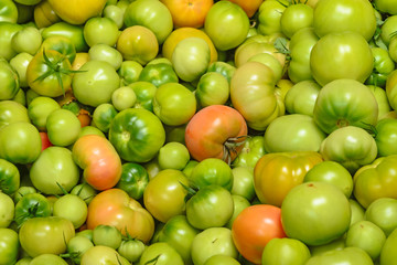 Tomatoes texture. Unripe green tomatoes