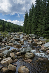 Border river with large stones in the water. Wild river flows through valley.