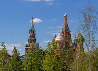 Fototapeta na wymiar Moscow, the Kremlin, birches in the foreground