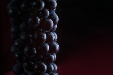 Bunch of black grapes on a dark background