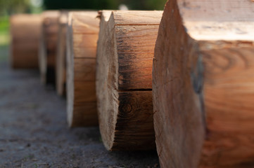 Fototapeta na wymiar A lot of logs lying around