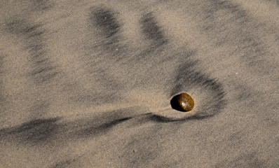 Rock in Beach Sand