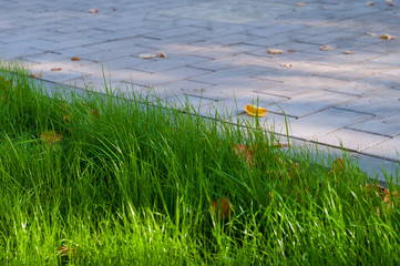The road is paved with tiles and green grass