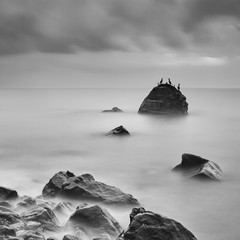 Coastal landscape with long exposure and stone on which sit cormorants
