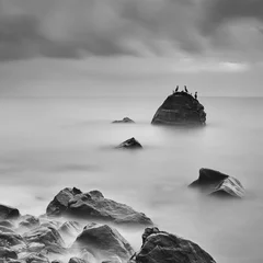 Foto auf Acrylglas Schwarz und weiss Küstenlandschaft mit Langzeitbelichtung und Stein, auf dem Kormorane sitzen