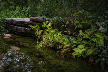 Fototapeta na wymiar pond in a garden