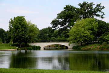 Fototapeta premium Bridge in Forest Park