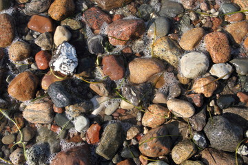 Kieselsteine am Starnd 1