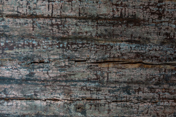 Wooden ceiling in a shop