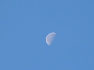 moon