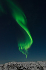 Aurora Borealis,Northern lights over the tundra in winter.