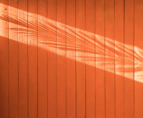 shadow from palm leaves on an orange wooden background