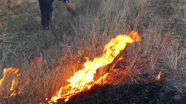 a farmer burns grass and stubble in the land,
burning stubble and herbs in the land damages nature and wildlife,

