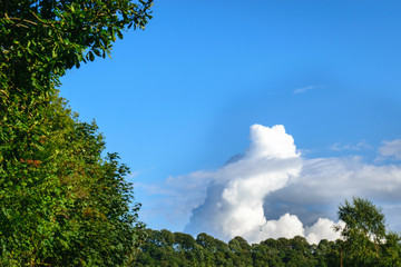 Obraz premium Clouds
