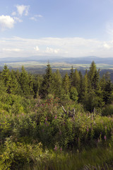 View on mountain Peaks and alpine Landscape of the High Tatras, Slovakia