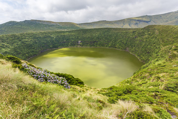 Crater lake with hydrangeas in the foreground, Caldeira Funda. Azores islands, Portugal