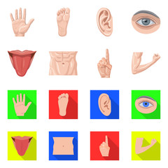 Fototapeta premium Isolated object of human and part symbol. Collection of human and woman stock symbol for web.