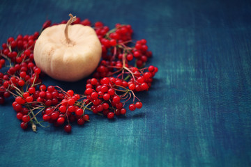Autumn  harvest /settings table\ thanksgiving day concept background
