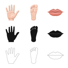 Fototapeta premium Isolated object of human and part icon. Set of human and woman stock vector illustration.