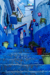 Blue staircase and flowerpots, Chefchaouen medina in Morocco