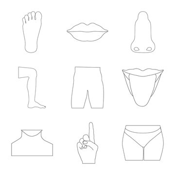 Vector design of human and part sign. Set of human and woman vector icon for stock.