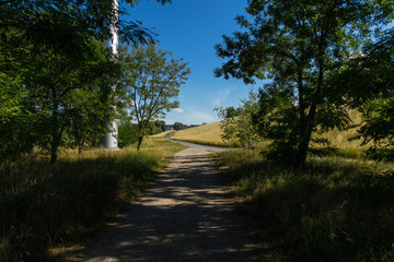 Summer natural landscape. Sunny day and hiking trails.