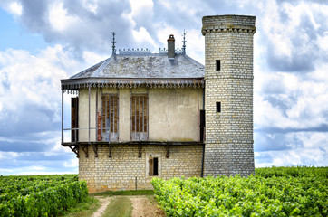 Burgundy, many chateau (castle) are surrounded by many acres of vineyards and are great wine...