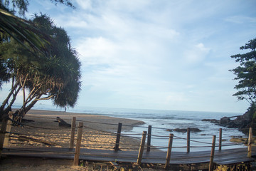 Phuket Sea Travel Thailand wooden bridge