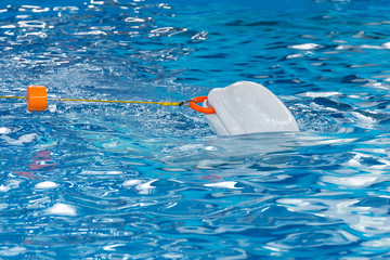 Sochi, Russia - Jule 04, 2018: Show of dolphins in the Dolphinarium of Sochi in July © freydin