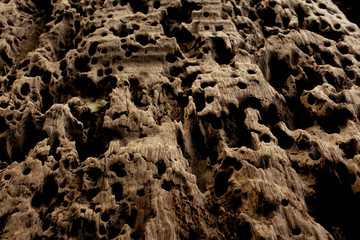 Brown wood background at Phuket Thailand