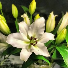 Acrylic painting on canvas art poster in floral motif. Modern style fashion artwork. Digital big size print in high resolution. Surreal flower in bright design. Beautiful flower bouquet. Wedding decor