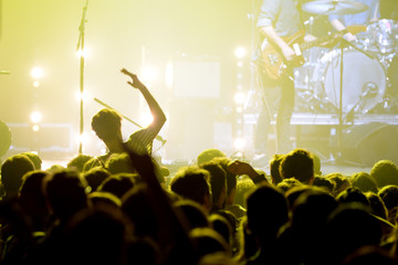 Crowd in a concert