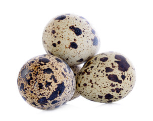 Obraz premium Quail eggs are isolated on a white background