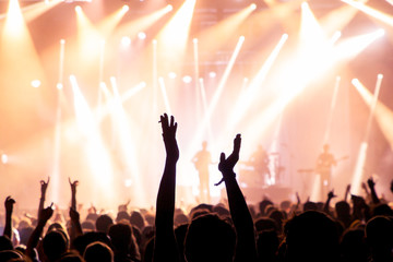 The crowd clapping in a concert