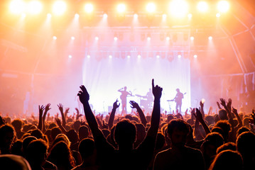 The crowd in a concert - obrazy, fototapety, plakaty