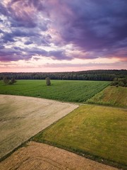 Fototapeta na wymiar Aerial landscape with beautiful summer fields.