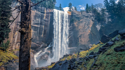 Yosemite Vernal - obrazy, fototapety, plakaty