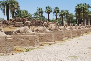 Row of Sphinxes leading to the entrance of the Luxor Temple