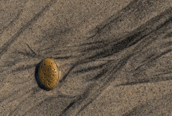 Fototapeta na wymiar wavy lines formed around a rock on a sandy ocean beach
