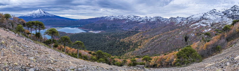 Fototapeta na wymiar A view during Autumn Season of the incredible rainforests full of colors over the trees above the mountain lakes at Conguillio National Park an amazing colorful landscape, Chile
