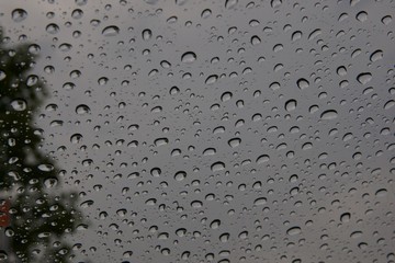 Rain Drops On Glass 