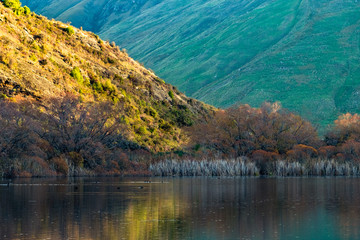 Stunning of the scenery of rocky snow mountain with the reflection of the yellow leafs tree forest in Autumn. Diamond lake track, Wanaka, New Zealand.