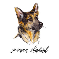 Watercolor dog head illustration with outlines and breed name hand painted sign - 221368659